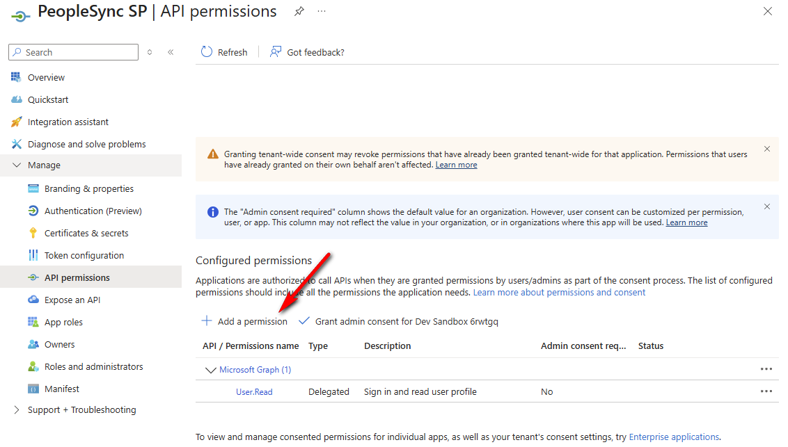 Selecting the SharePoint API permission